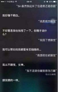 siri也会神回复