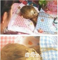 惊！泰国不腐童尸 头发指甲仍不断生长 引众人供奉