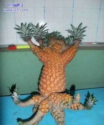 得意忘形的菠萝
