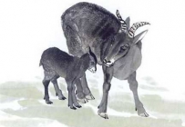 79年羊年2017年运势 1979年属羊的人2018年运程