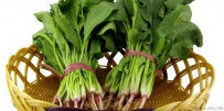 吃什么食物对头发好