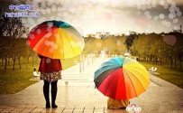 彩色color系（8张）