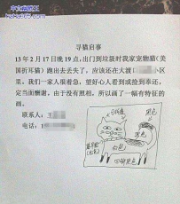 猫的照片付的很完美