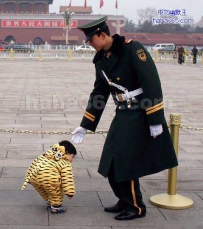 你看不见我、看不见我