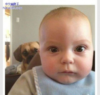 小主人拍照，我也想拍一张