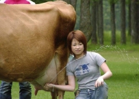 这是神马牛情况