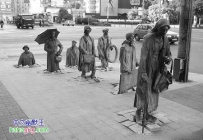 我们都是从地里冒出来的...