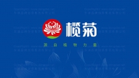 vi视觉设计对企业品牌传播的影响力有多大？