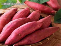 白露不同作物如何适时收获