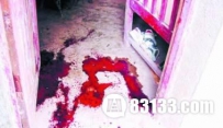 揭秘夜狸猫事件真相