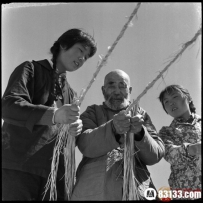 知青下乡都在干什么