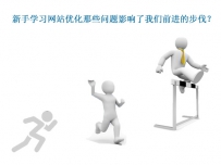 新手学习网站优化那些问题影响了我们前进的步伐？