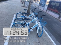 哈罗单车现身北京街头 疑似违规投放 引网友质疑