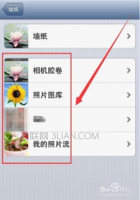 手机桌面无法设定壁纸怎么回事
