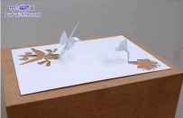 A4纸的新生命（10张）