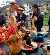 好霸气的贡品鸭