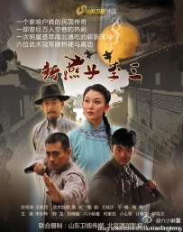 电视剧《新燕子李三》全集 剧情介绍 在线观看资源