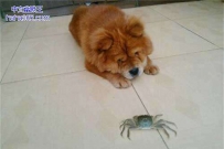 我希望就这样看你一辈子