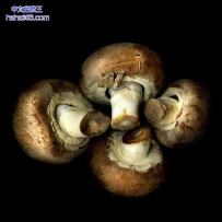 蔬菜创意摄影（18张）