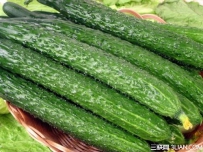 如何预防黄瓜出现苦味