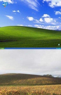 理想与现实的差距
