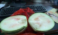 好坑爹的西瓜