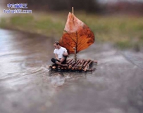 小人旅行记（11张）