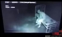 精神病院监控 病人瞬间悬浮半空