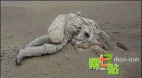 跨世纪的难解之谜：罗布泊失踪最诡异怪事
