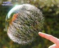 水泡爆破瞬间（6张）