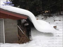 这雪下的太有创意了