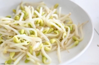 大棚绿色豆芽栽培技术
