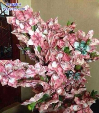 土豪家的花就是不一样