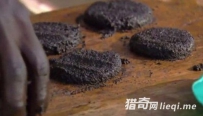 重口！非洲蚊子做成的＂汉堡包＂