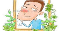 鼻窦炎的原因是什么
