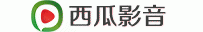 西瓜影音网页调用说明