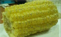 你们到底有多无聊（11张）