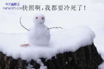 雪景中的奇葩雕塑（11张）