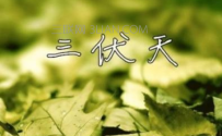 头伏怎么养生注意避暑