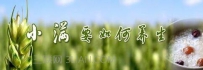 小满养生要注意什么