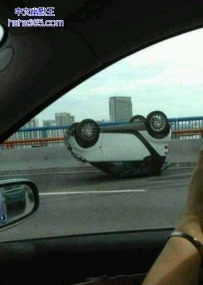 翻车都翻得这么萌