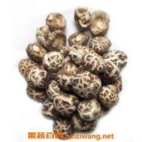 野生花菇 野生大花菇的做法步骤教程