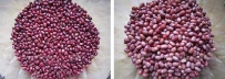 红豆怎么煮好吃 蜜红豆的做法