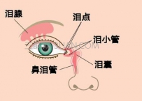 如何正确洗眼