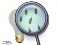 自然灯炮