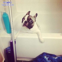 我犯什么错了