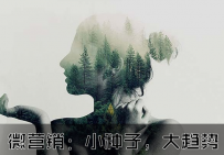 微营销：小种子，大趋势