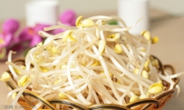荷兰豆芽枯病防治方法