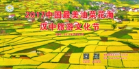 汉中油菜花 汉中各县区推出30个观花点、22条油菜花海精品旅游线路 ...