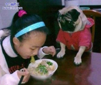 你敢给我吃点么